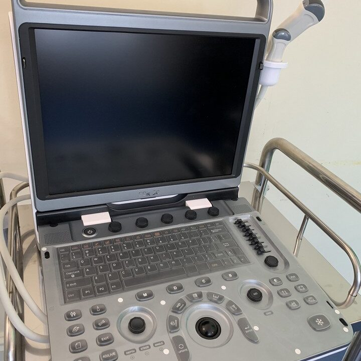 SERVICES Copper Beech Vets