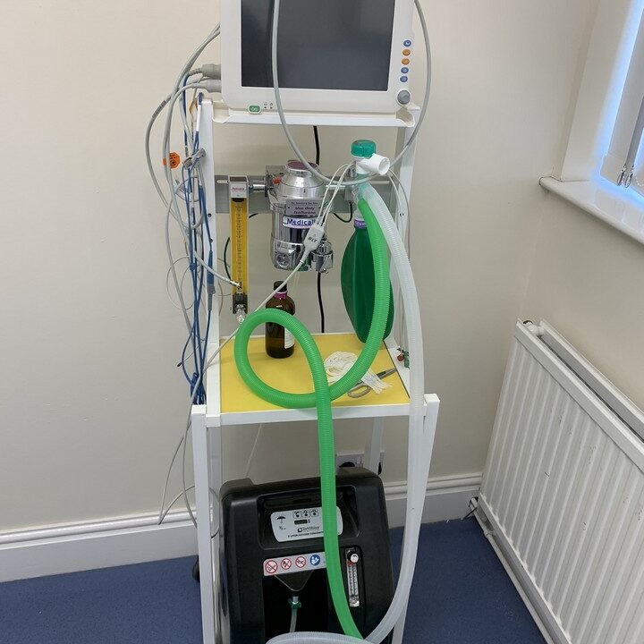 SERVICES Copper Beech Vets